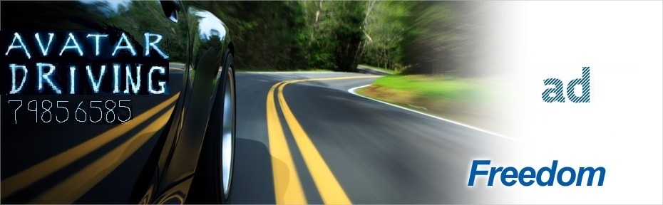 Avatar Driving